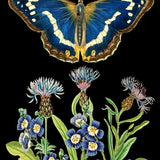 Greeting Card - Blue Butterfly