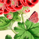 Greeting Card - Botanicals Red Flowers