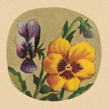 Greeting Card - Vintage Matchbox - Radiance
