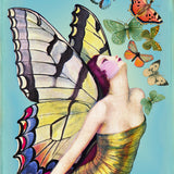Greeting Card - Butterfly Wings