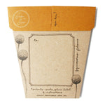 Sow n sow Gift Card - Billy Buttons Australian Native - Gaudy & Prim