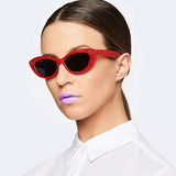 BYRDLAND - GLAM ROCK - SUNGLASSES- REALITY - Gaudy & Prim