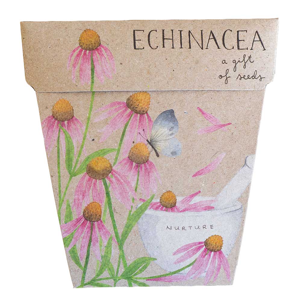 Sow n Sow Gift Card - Echinacea - Gaudy & Prim