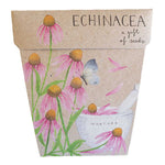 Sow n Sow Gift Card - Echinacea - Gaudy & Prim