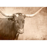 Texas Longhorn Decoupage papers - Gaudy & Prim
