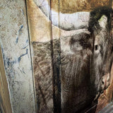 Texas Longhorn Decoupage papers - Gaudy & Prim