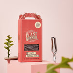 Cacti and Succulent Potting Mix - Gaudy & Prim