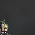 Annie Sloan Wall Paint® – Graphite - Gaudy & Prim