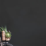 Annie Sloan Wall Paint® – Graphite - Gaudy & Prim