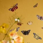 Annie Sloan RHS Decoupage Paper - Winged Wildlife - Gaudy & Prim