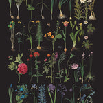 Annie Sloan RHS Decoupage Paper - Formal Garden - Gaudy & Prim