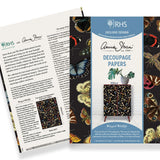 Annie Sloan RHS Decoupage Paper - Winged Wildlife - Gaudy & Prim