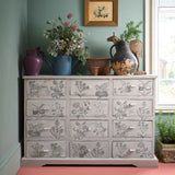 Annie Sloan RHS Decoupage Paper - Botanical Drawings - Gaudy & Prim